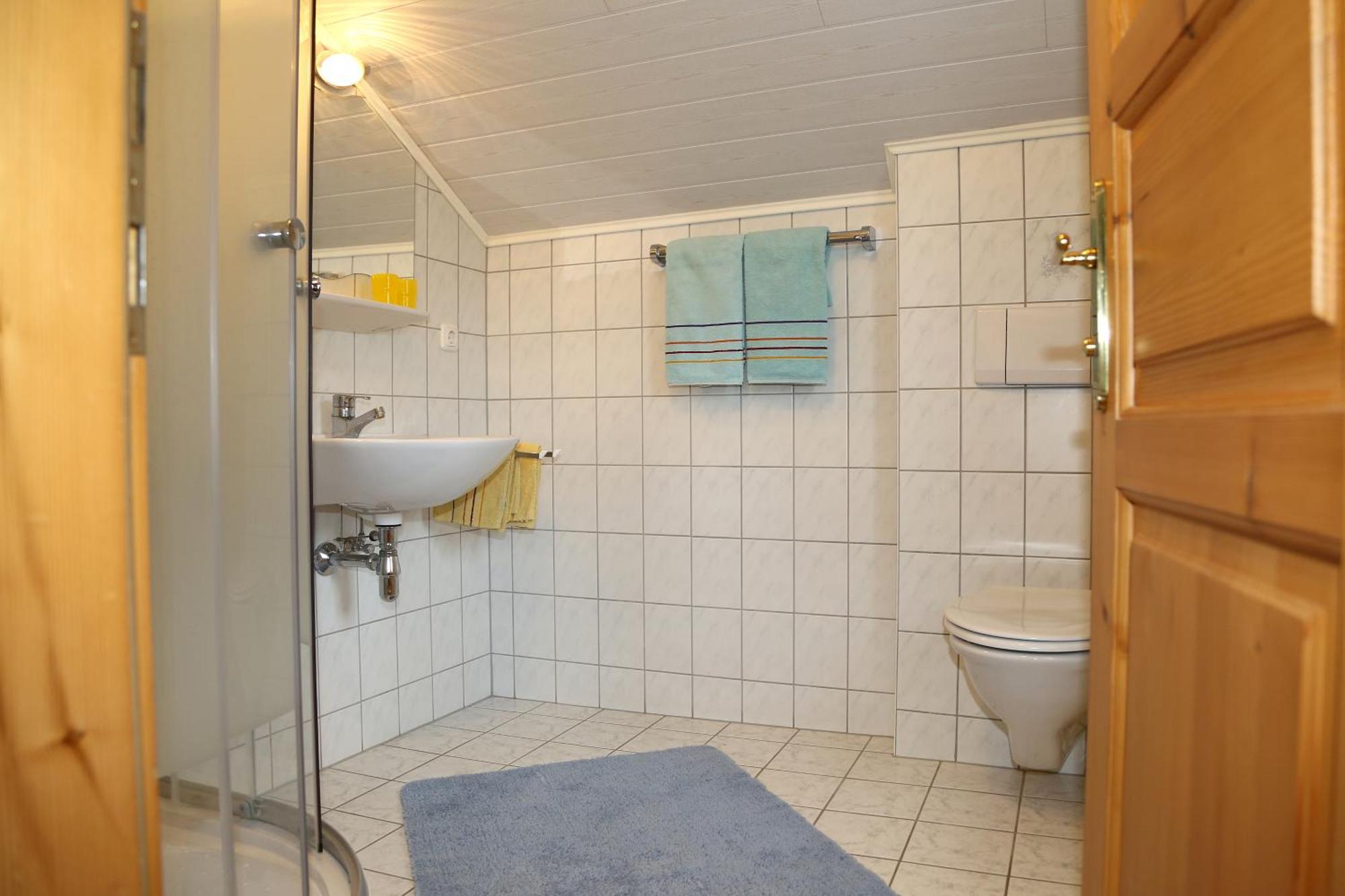Haufhof-Pension Am Bauernhof, Haus Im Ennstal Bei Schladming Dış mekan fotoğraf