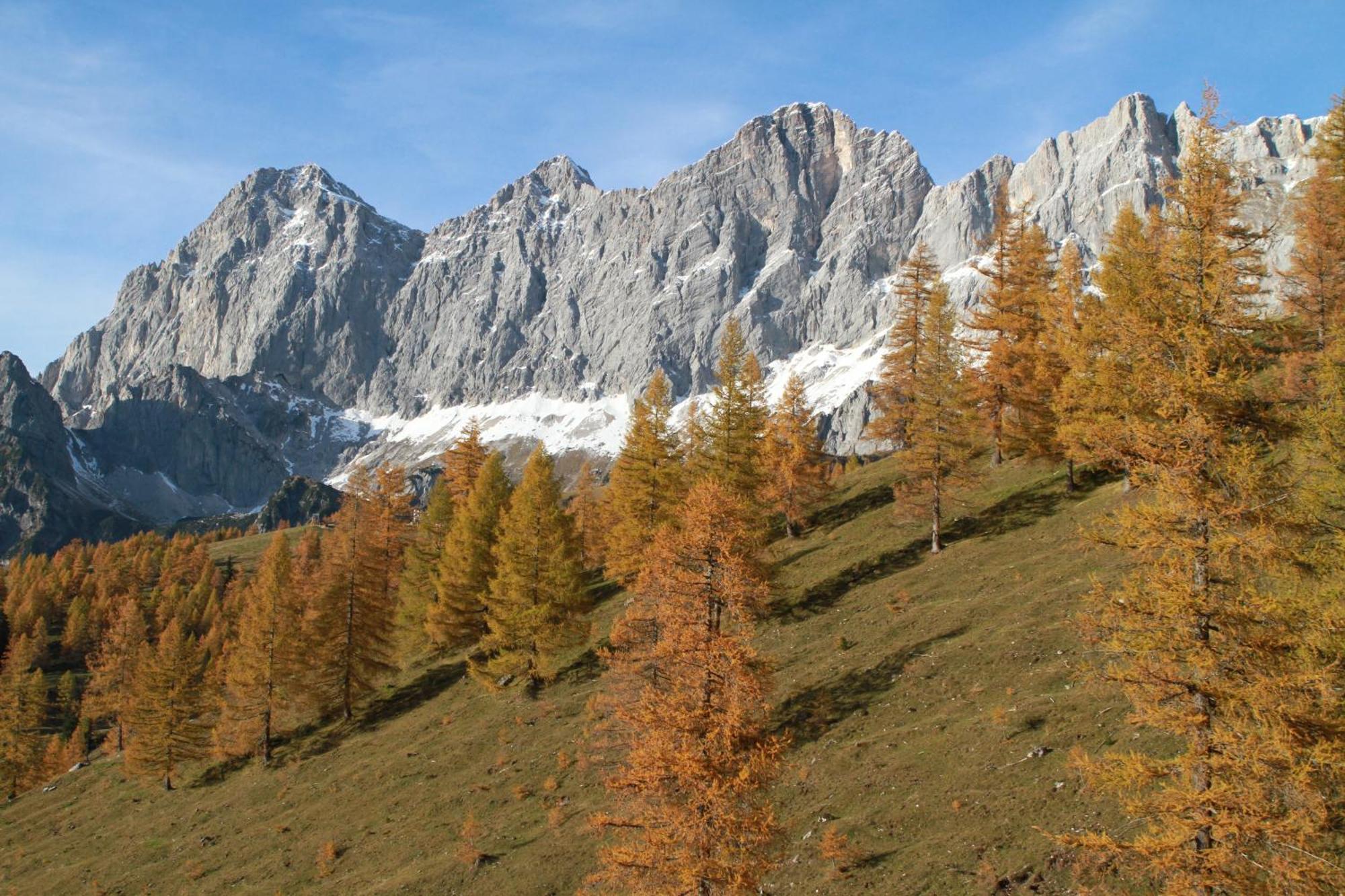 Haufhof-Pension Am Bauernhof, Haus Im Ennstal Bei Schladming Dış mekan fotoğraf