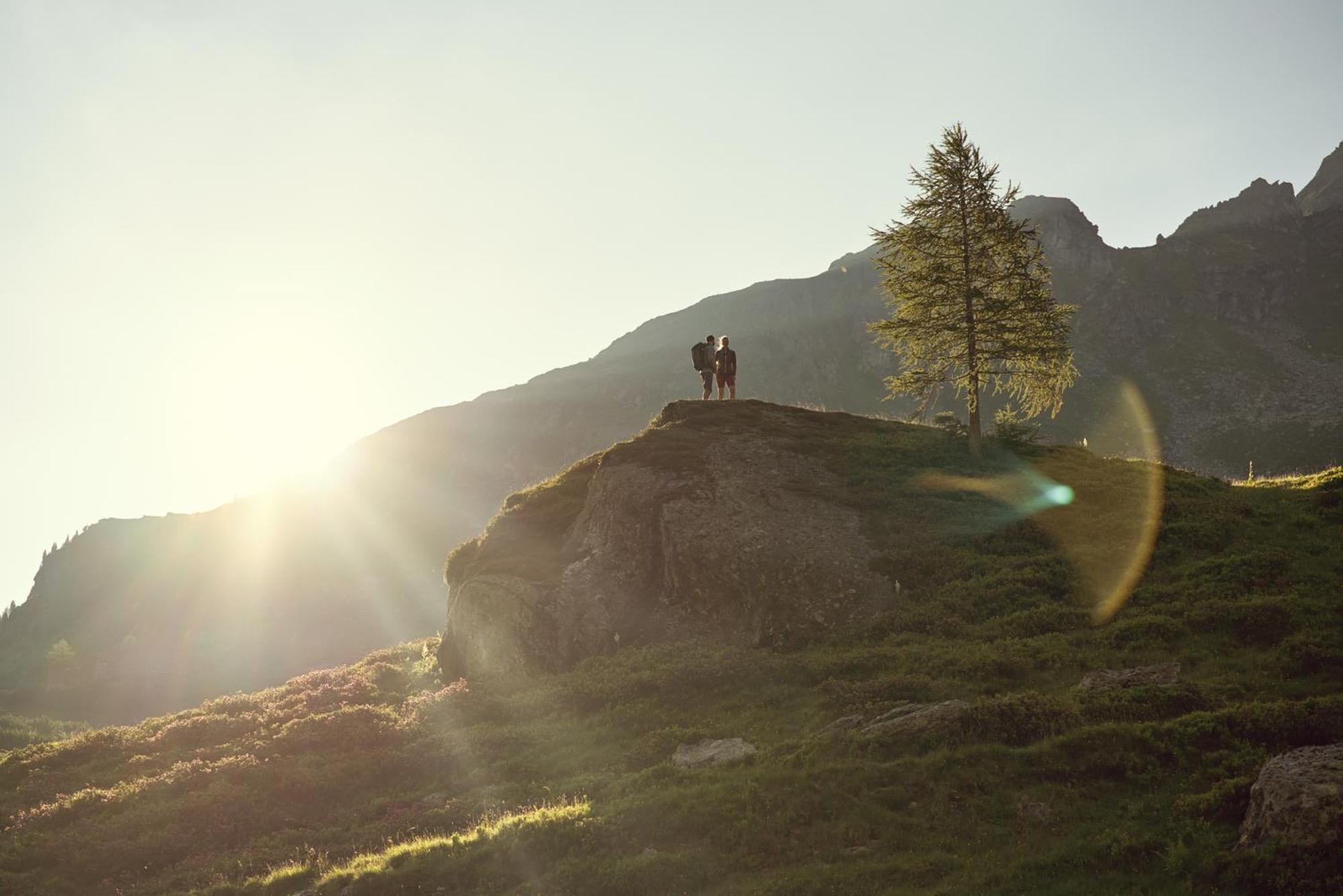Haufhof-Pension Am Bauernhof, Haus Im Ennstal Bei Schladming Dış mekan fotoğraf