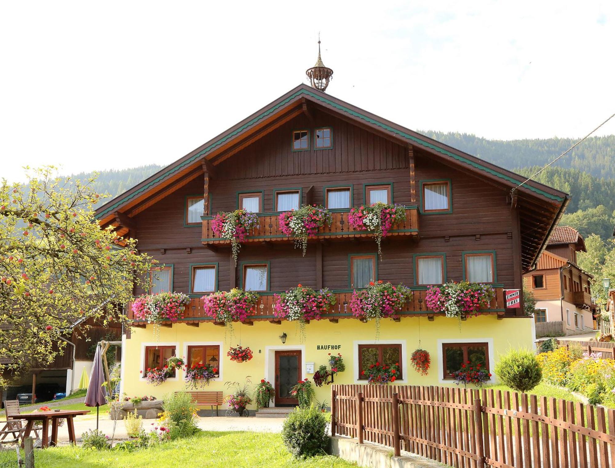 Haufhof-Pension Am Bauernhof, Haus Im Ennstal Bei Schladming Dış mekan fotoğraf
