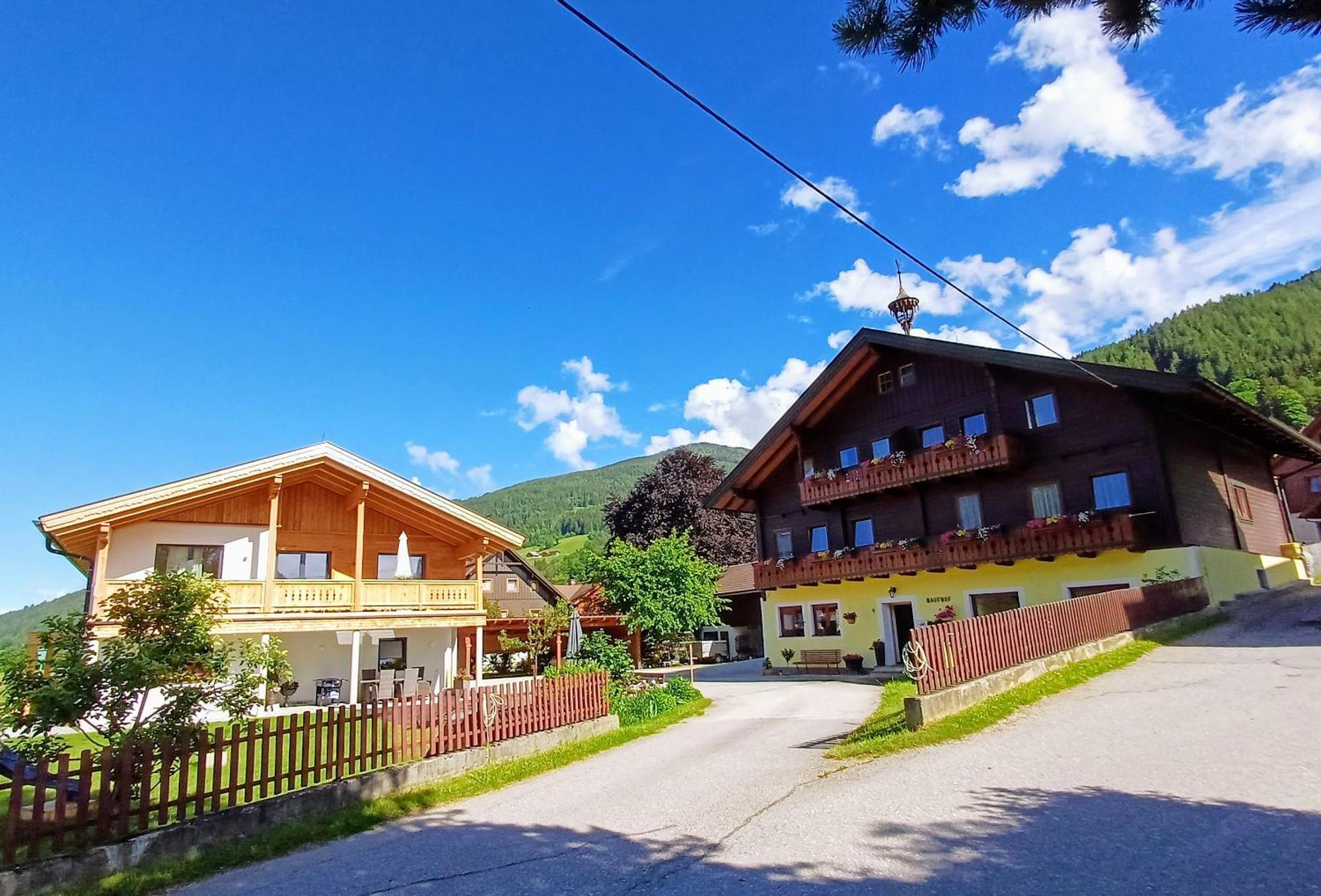 Haufhof-Pension Am Bauernhof, Haus Im Ennstal Bei Schladming Dış mekan fotoğraf